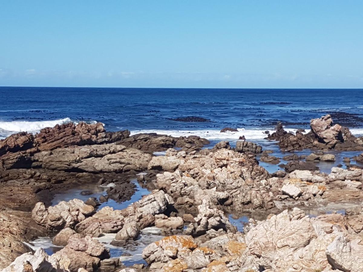 Corban Cottage Hermanus Dış mekan fotoğraf